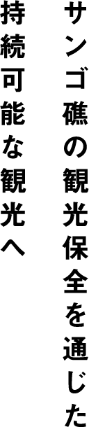 サンゴ礁の環境保全を通じた持続可能な観光へ