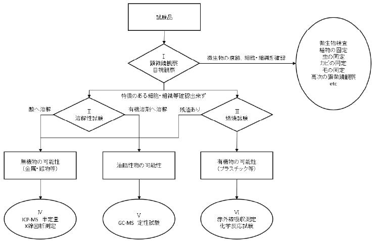 検査フロー