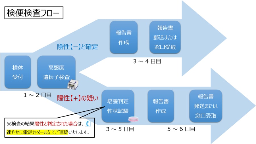 検査手順