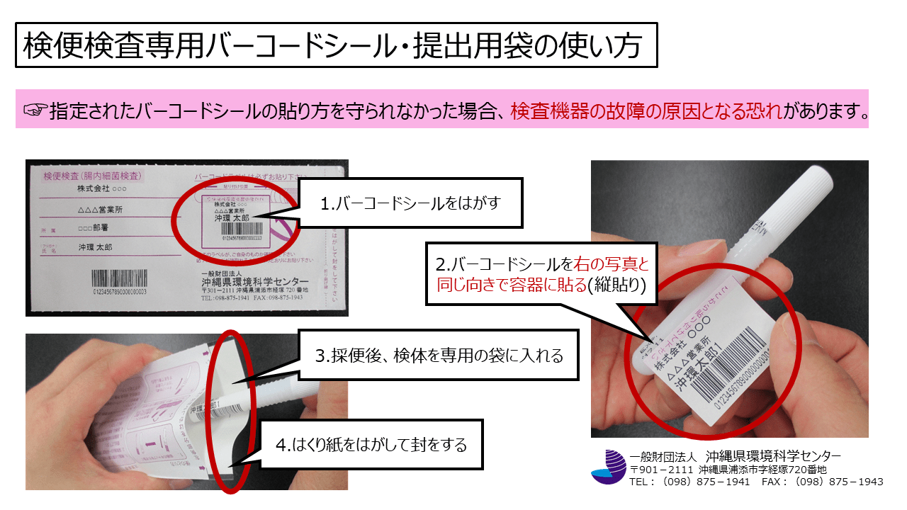 検便定期検査フロー